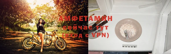 трава Арсеньев