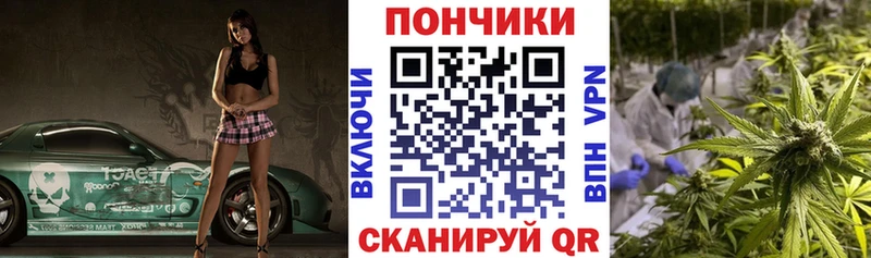 Бошки марихуана ГИДРОПОН  Купить  Богородск 